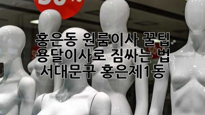 홍은동 원룸이사 꿀팁🍯 용달이사로 짐싸는 법! #서대문구 #홍은제1동