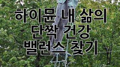 💪 하이뮨, 내 삶의 단짝! 건강 밸런스 찾기 💯